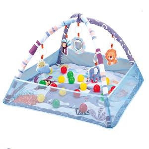 2304 Playmat Crawling Toy