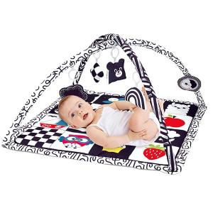 2307 Activity Baby Gym Mats