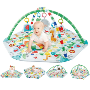 041685 5 In 1 Infant Play Gym 