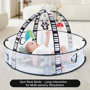 Tiny Paws 4-in-1 Panda Forest Baby Play Mat & Gym &ndash; Detachable Fence & Arches with 4 Hanging Toys + 12 Ball Pit Balls (Model: ZL2523)
