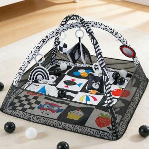 Tiny Paws Square Black & White Baby Play Mat & Ball Pit &ndash; Dual Mode with Arch & 5 Hanging Toys + 12 Balls (Model: ZL2305)