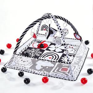 Tiny Paws Apple Crinkle Black & White Ball Pit Baby Play Mat &ndash; Foldable Mesh Fence with 6 Hanging Toys + 12 Balls (Model: ZL2501)