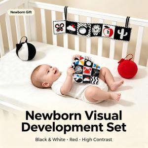 Tiny Paws Newborn Visual Development Gift Set 